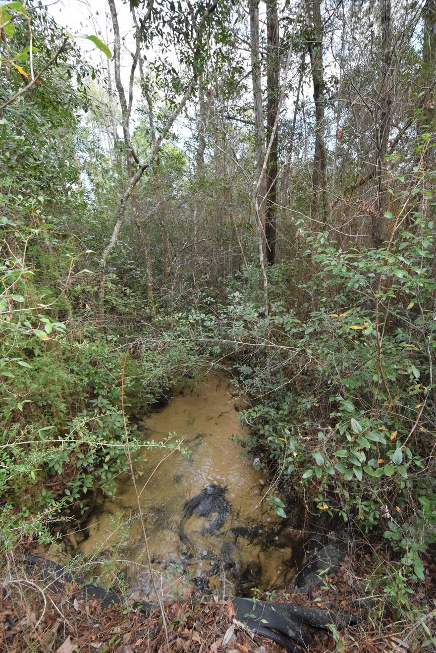 Beautiful property located in the Baker community. Privately situated with a private drive from the paved county road, Keyser Mill Road. There are cleared and wooded areas and there is a creek on the north end of the property. Be sure to have the aerial photo available when you take a look at the property! The private drive is a part of the property and included in the acreage. Acreage is taken from the Property Appraiser's records. Affordably priced!!!