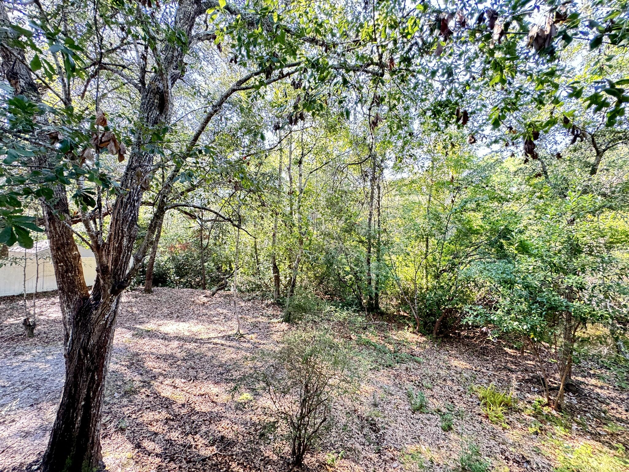 AUDUBON POINT - Residential