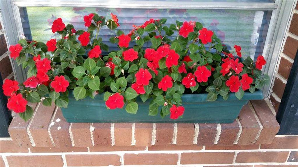 Garnier Heights - Residential