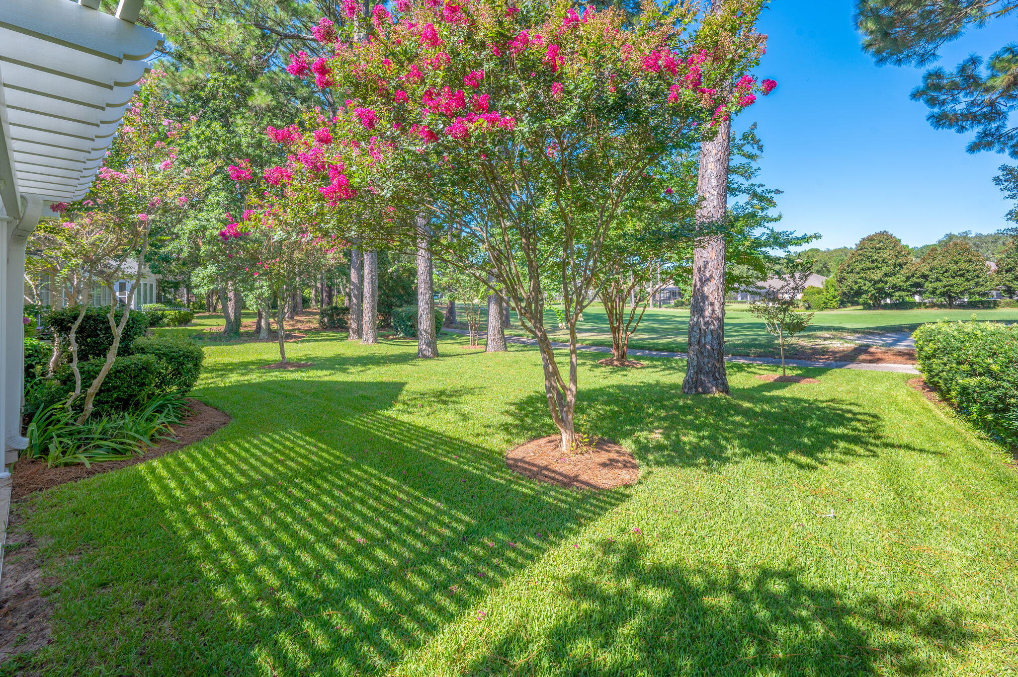 OAKMONT PLACE - Residential