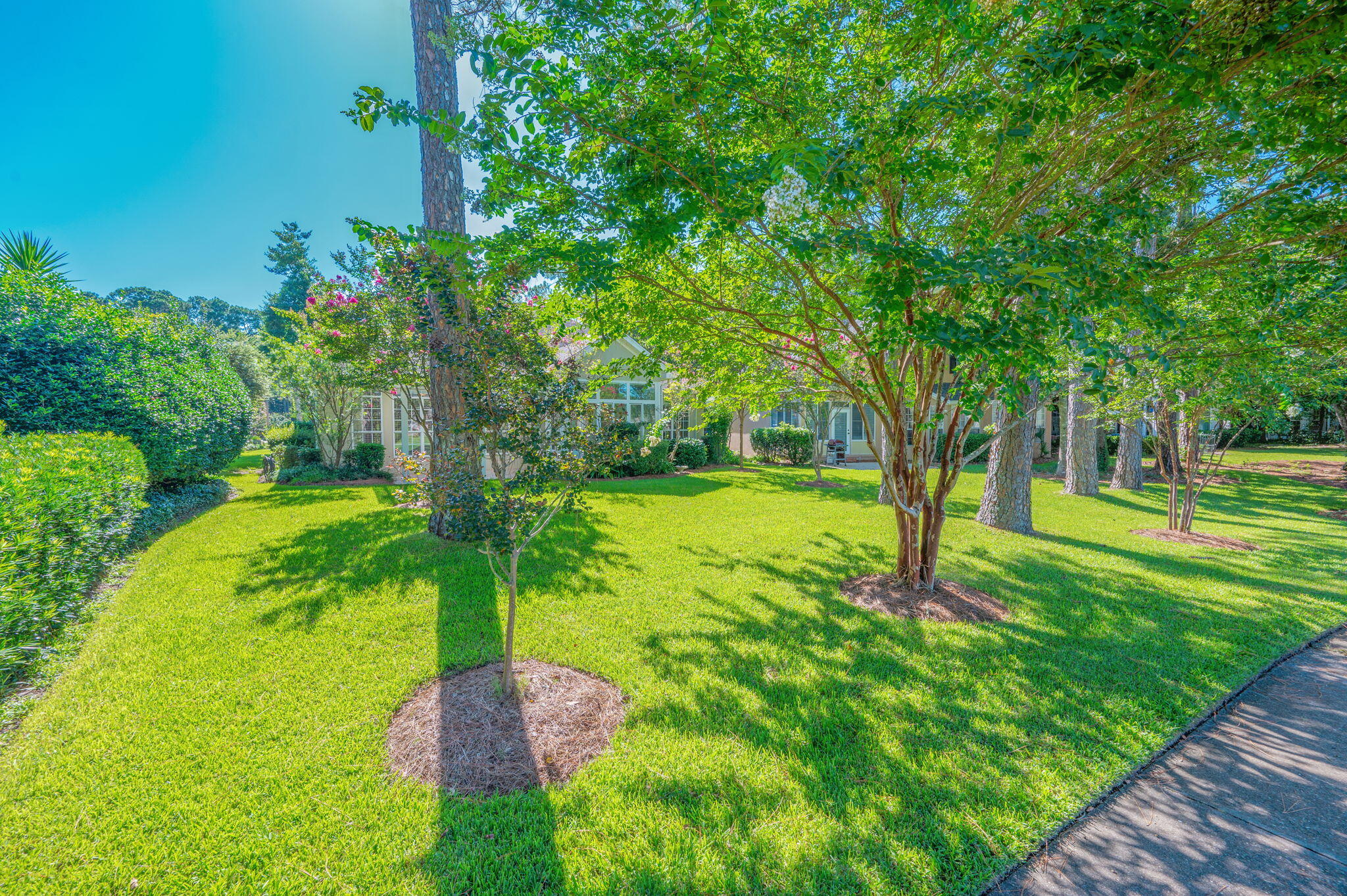 OAKMONT PLACE - Residential