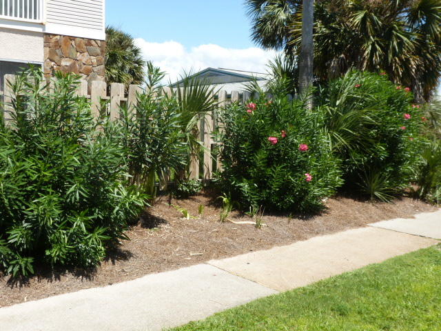 ISLAND GARDENS CONDO - Residential