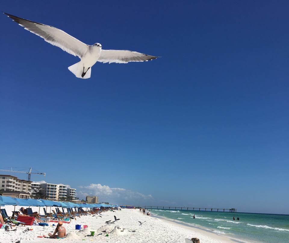 ISLAND GARDENS CONDO - Residential