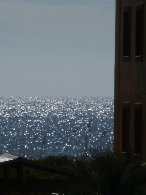 ISLAND GARDENS CONDO - Residential