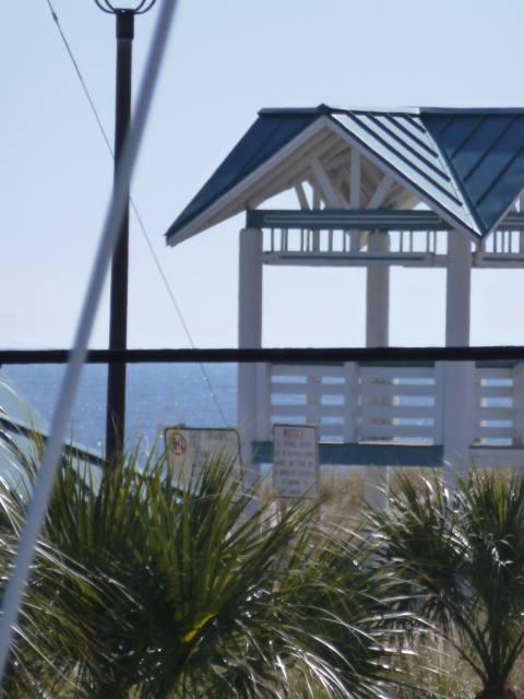 ISLAND GARDENS CONDO - Residential