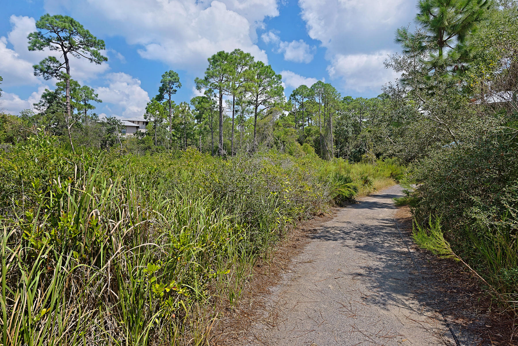 Seacrest Beach - Residential