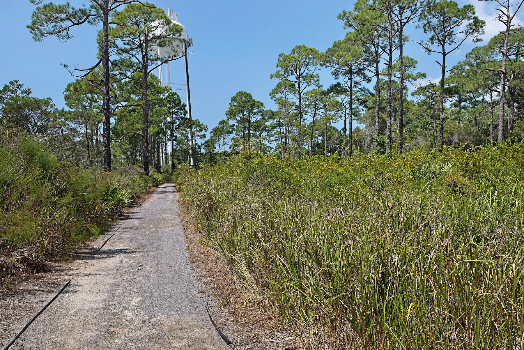 Seacrest Beach - Residential