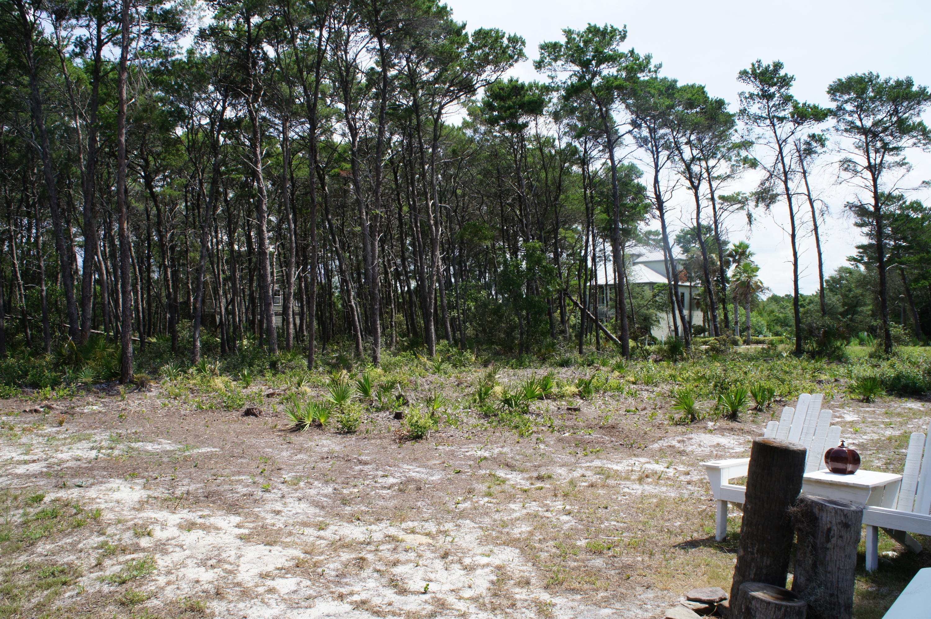 GRANDE POINTE AT INLET BEACH - Land