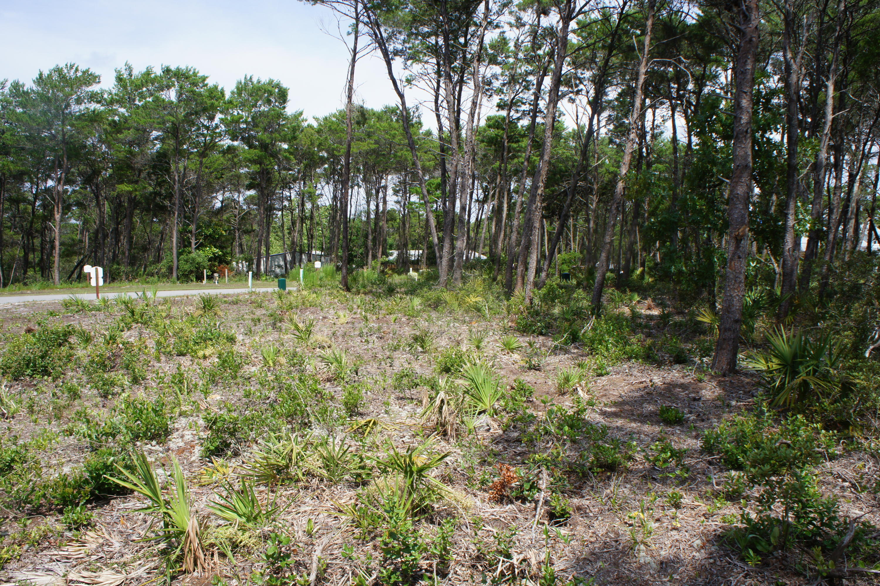 GRANDE POINTE AT INLET BEACH - Land