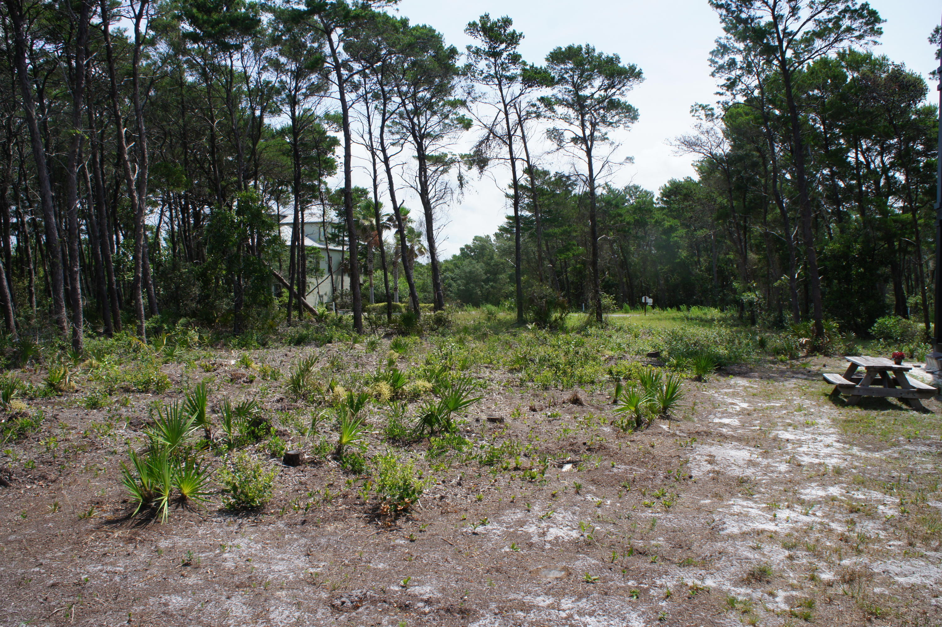 GRANDE POINTE AT INLET BEACH - Land