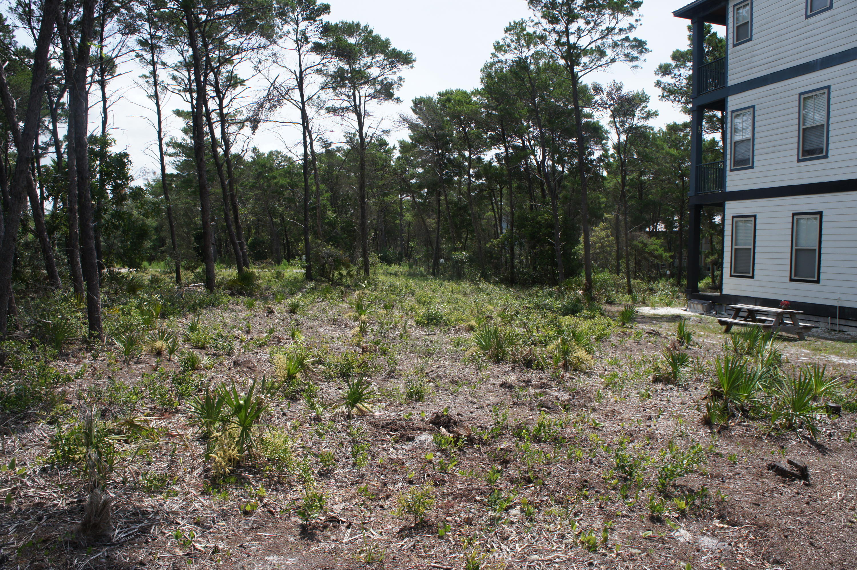 GRANDE POINTE AT INLET BEACH - Land