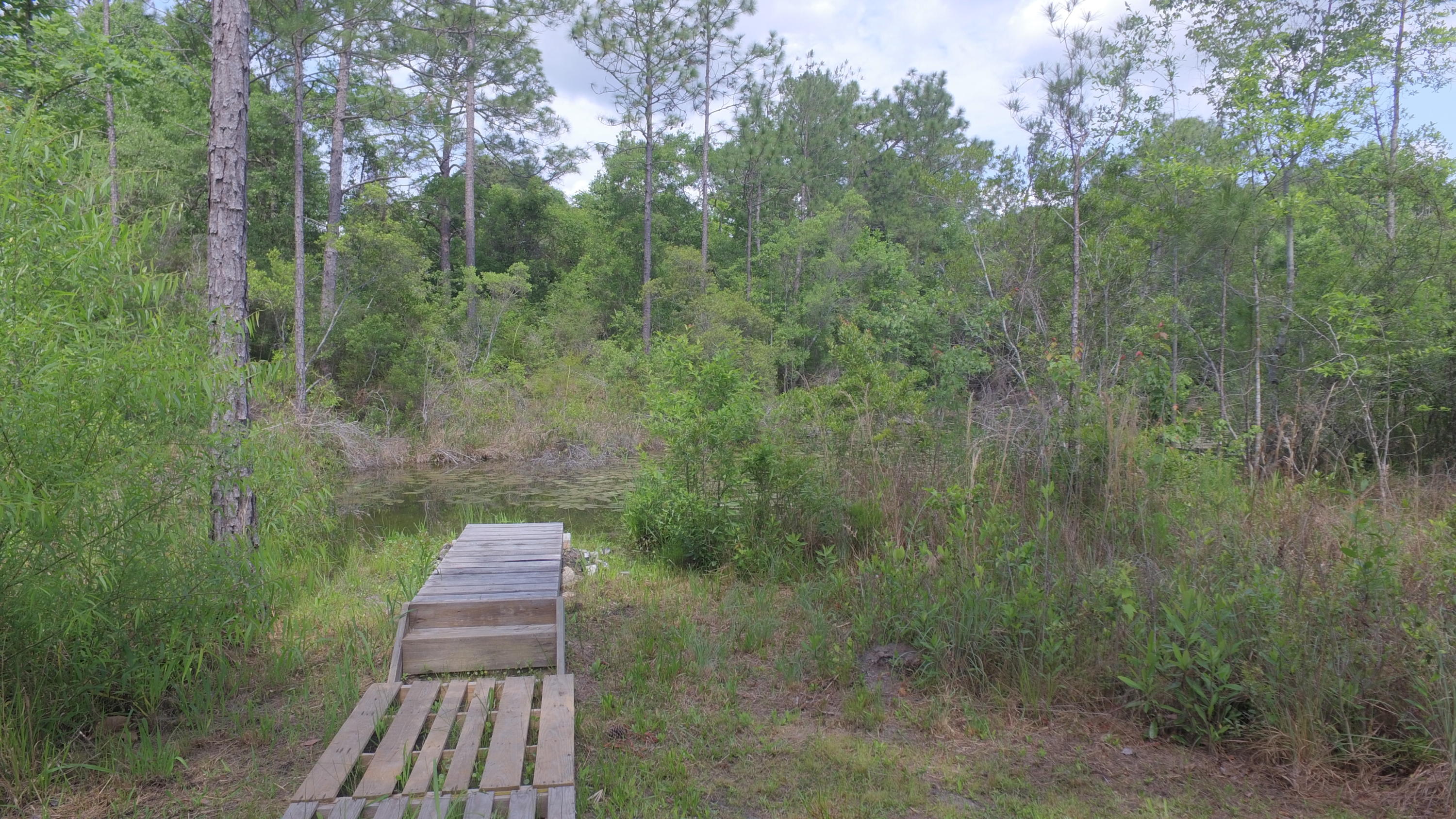 CORONADO VILLAGE PH 4 - Residential