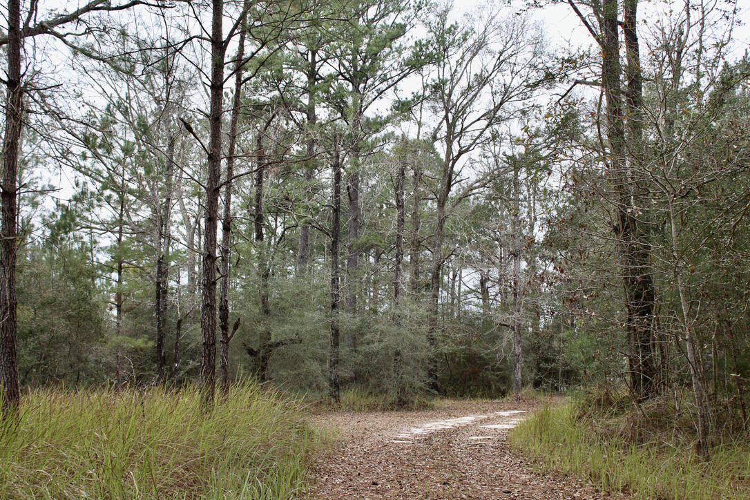 17 AC CJ Laird Rd - Residential