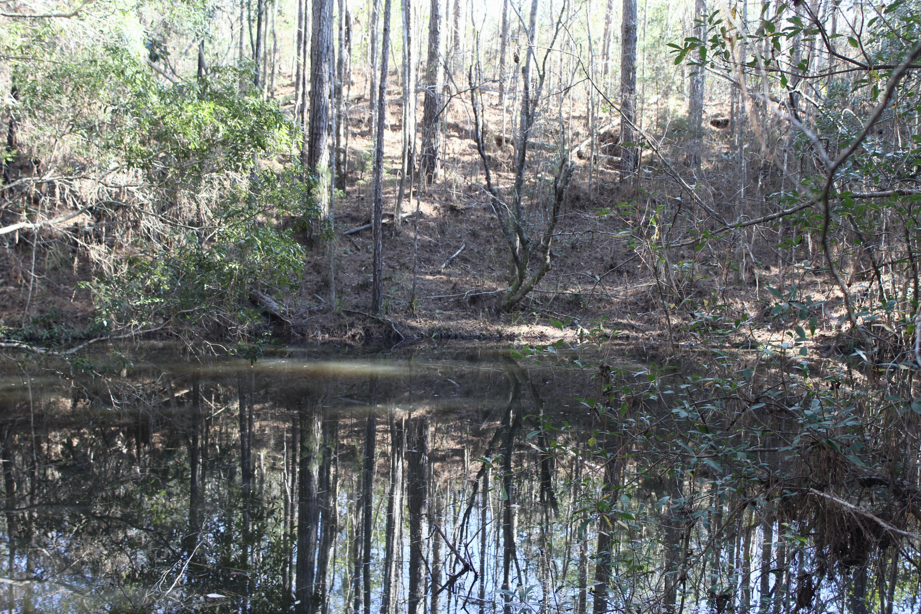 17 AC CJ Laird Rd - Residential