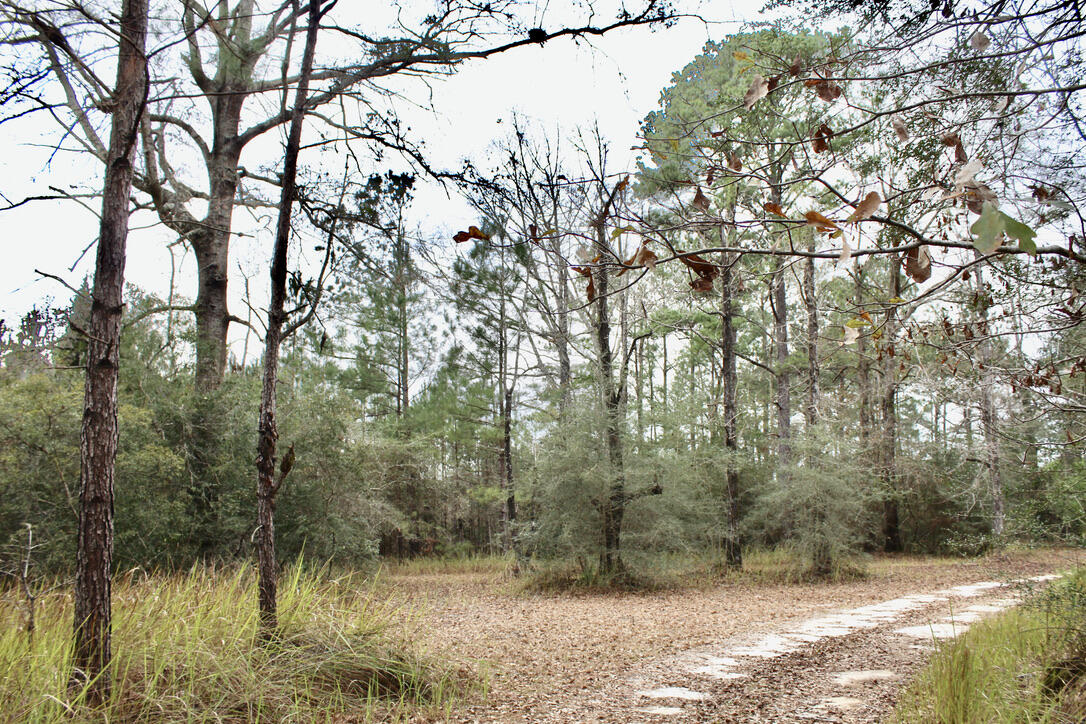 17 AC CJ Laird Rd - Residential