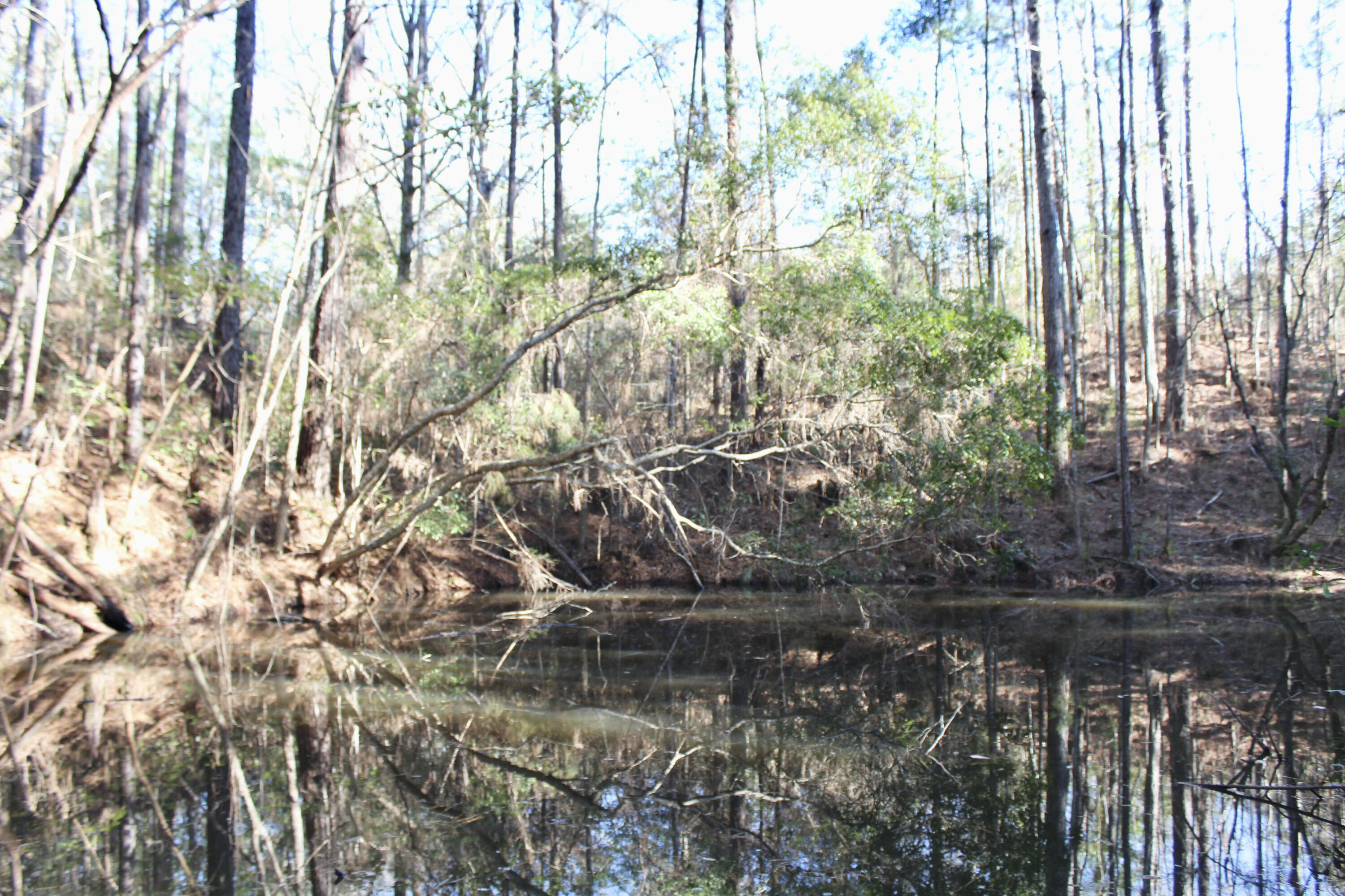 17 AC CJ Laird Rd - Residential