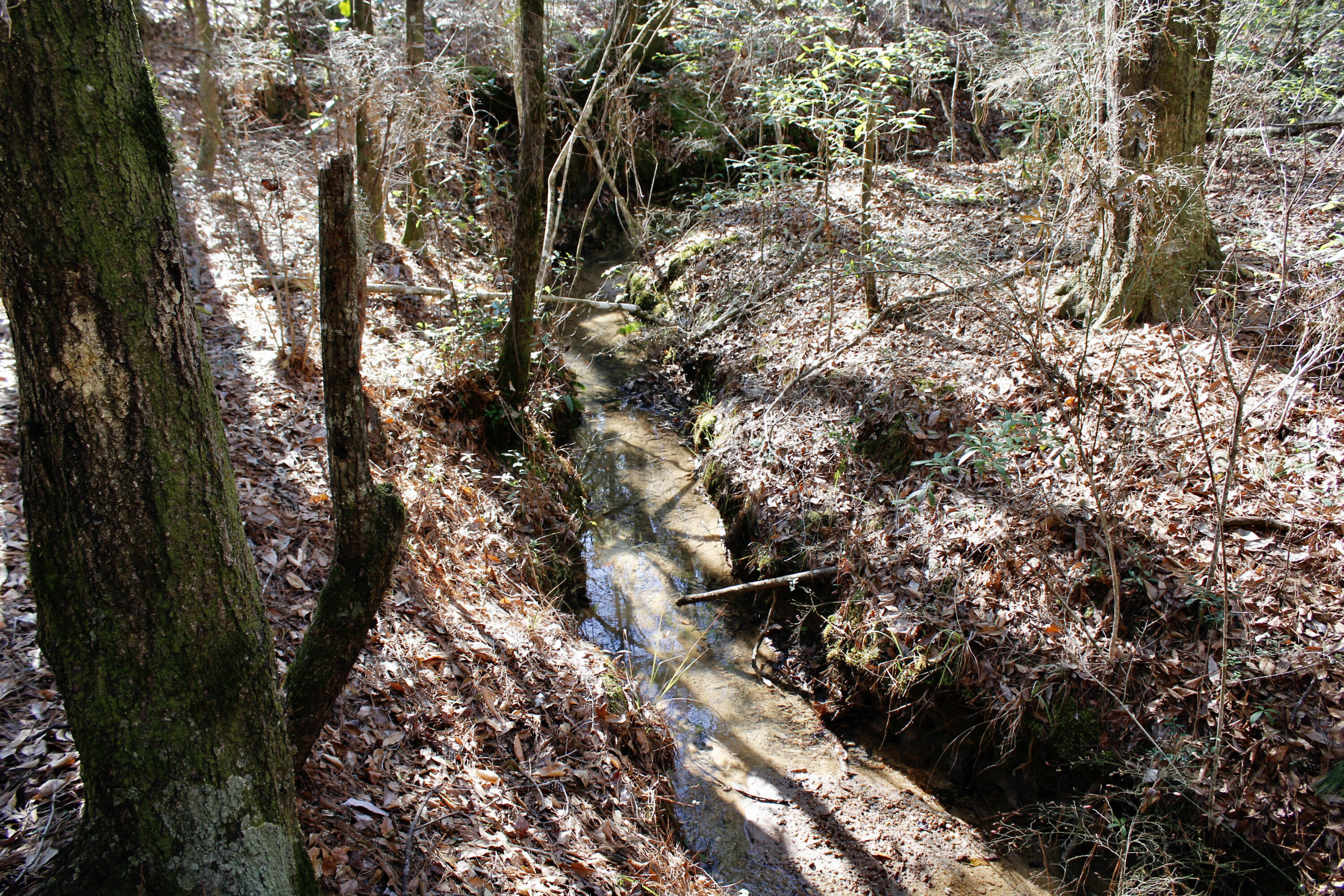 17 AC CJ Laird Rd - Residential