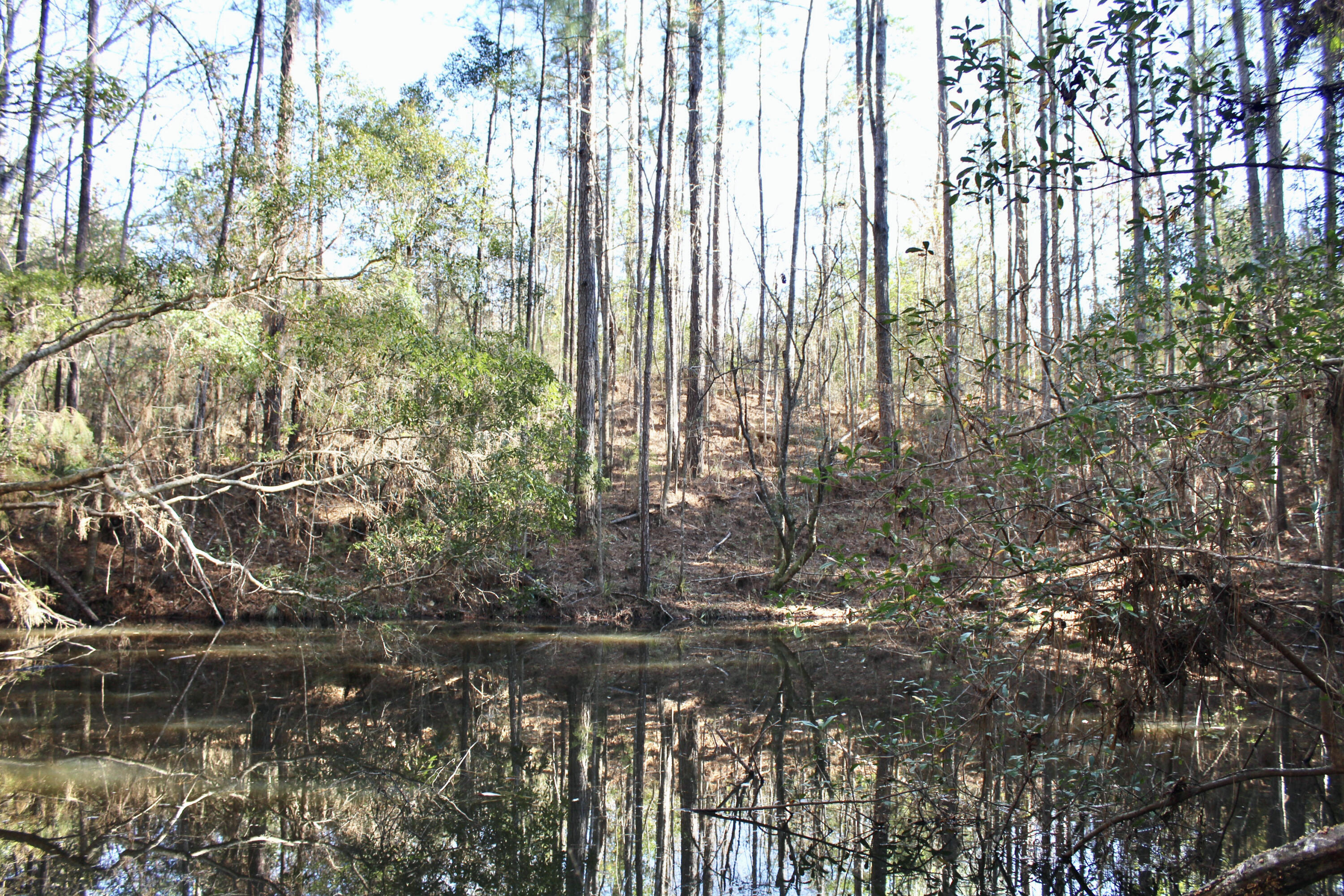 17 AC CJ Laird Rd - Residential