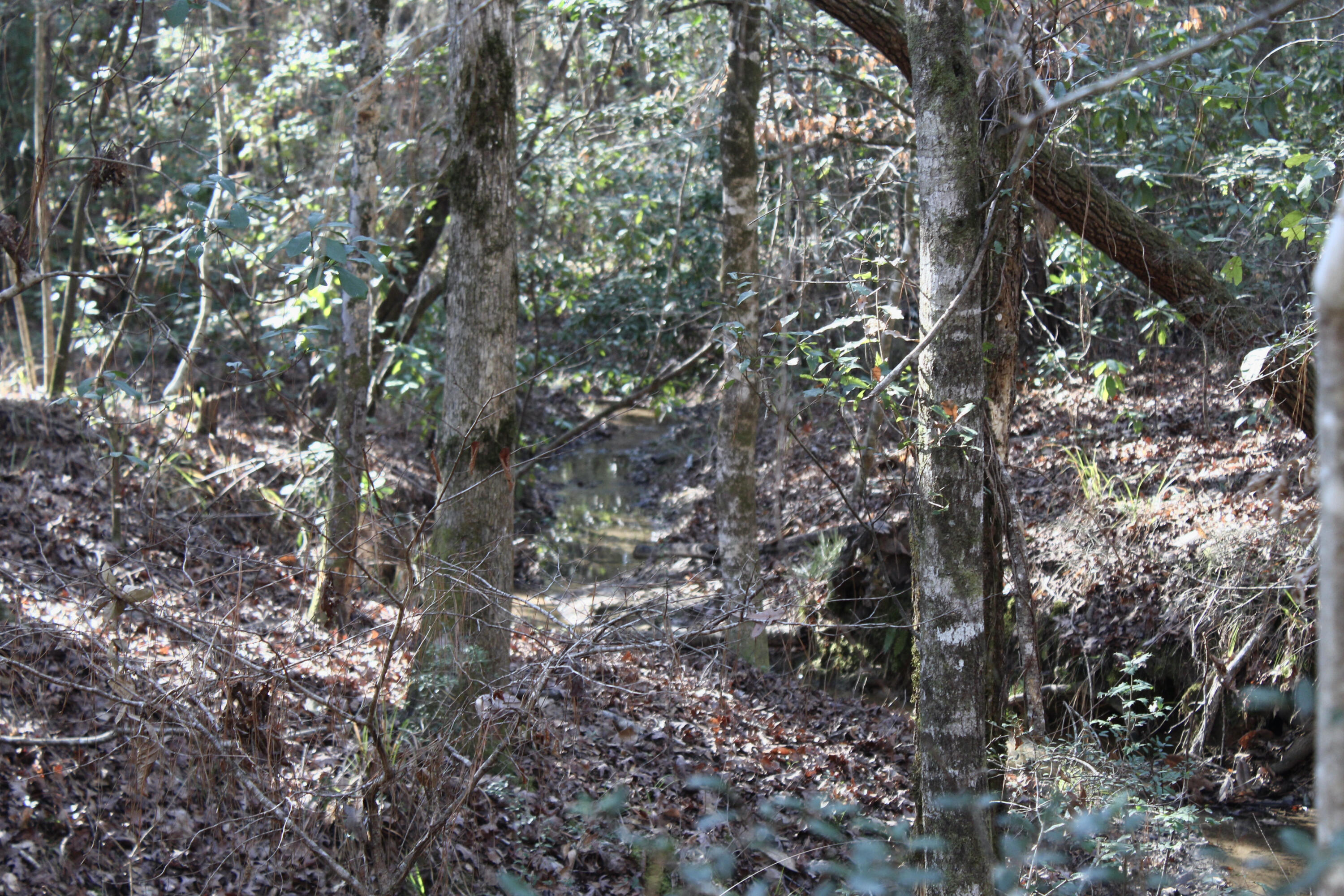 17 AC CJ Laird Rd - Residential