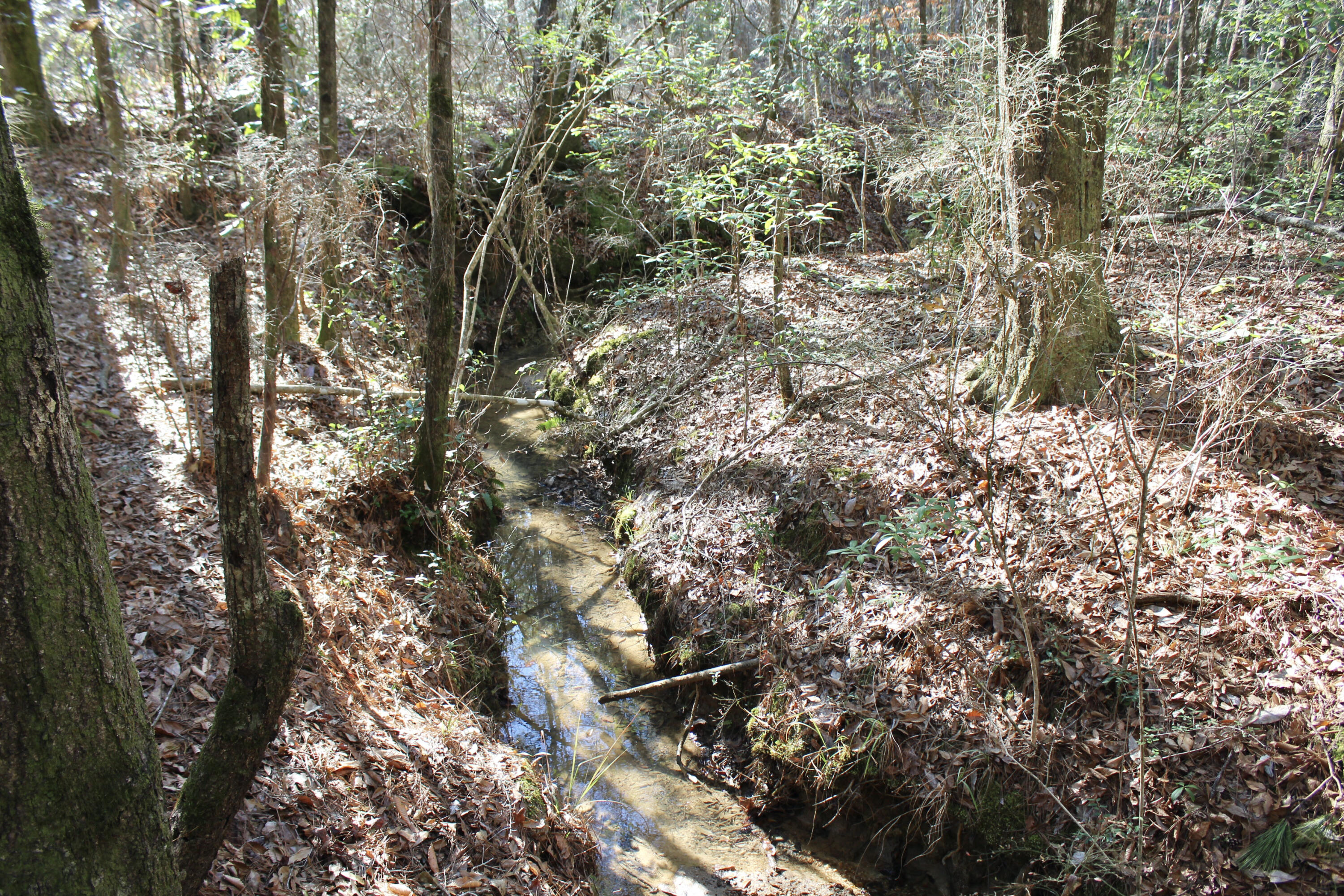 17 AC CJ Laird Rd - Residential