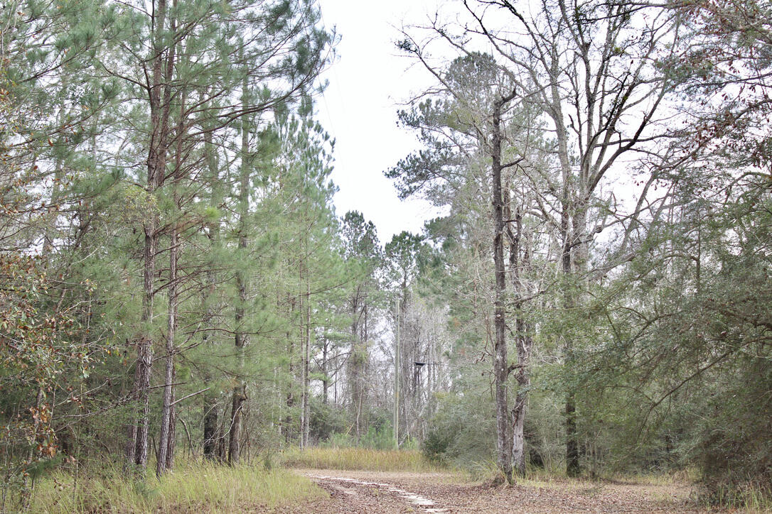 17 AC CJ Laird Rd - Residential