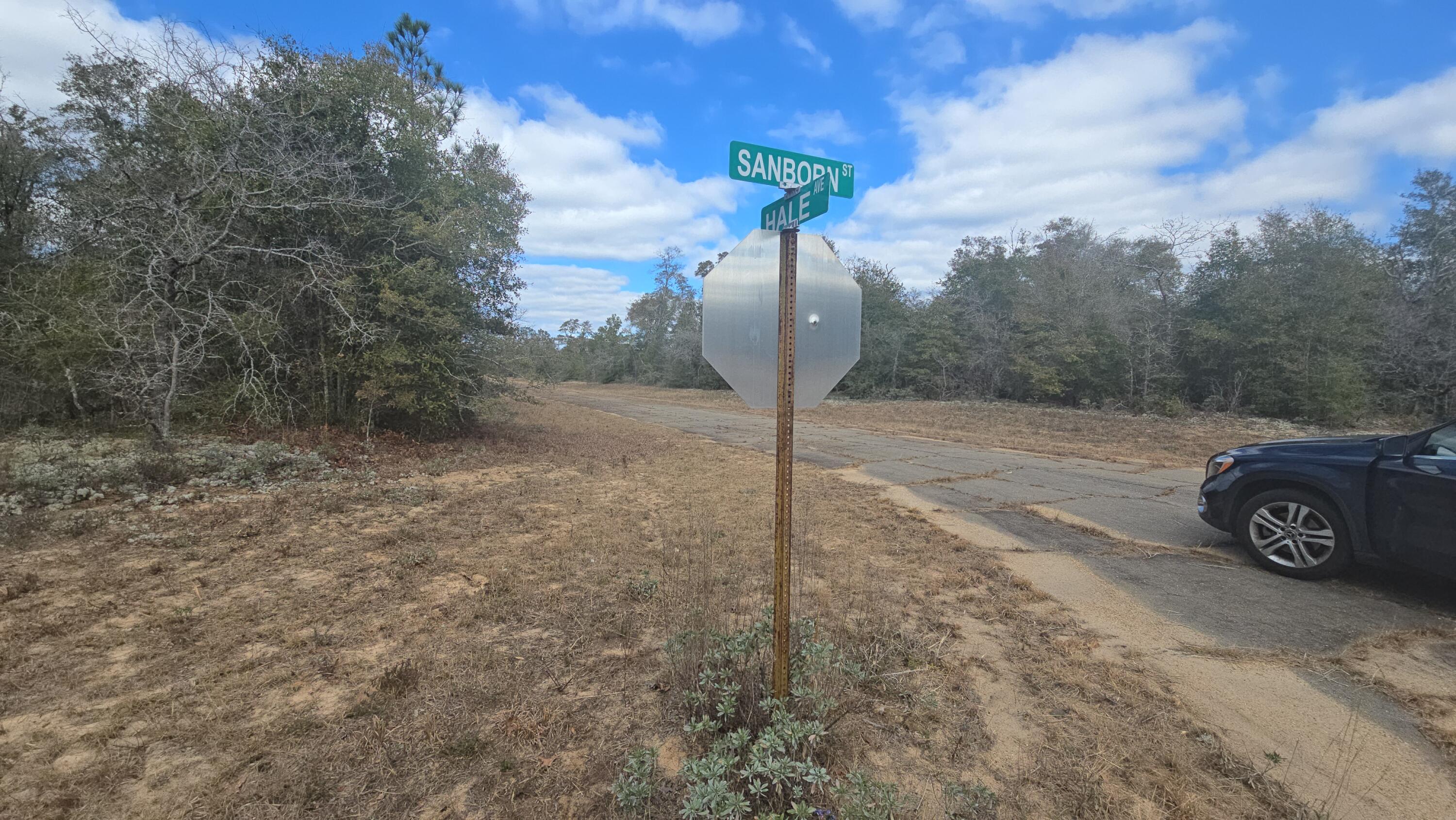 SUNNY HILLS SD - Land