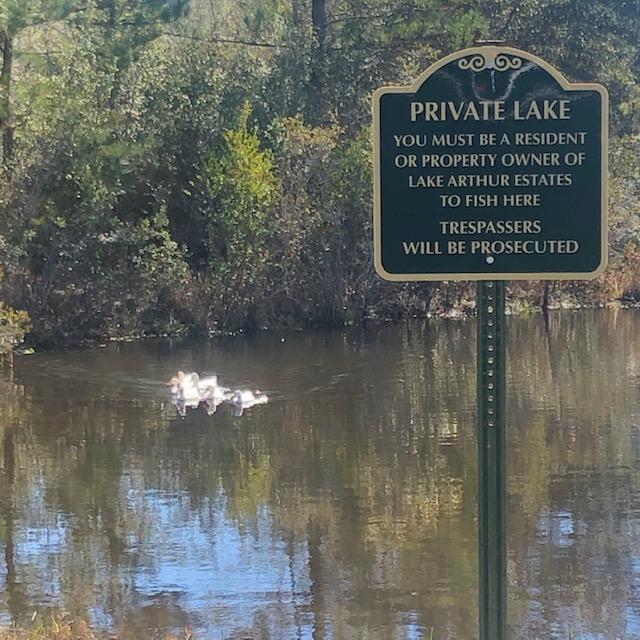 LAKE ARTHUR EST PH I - Land