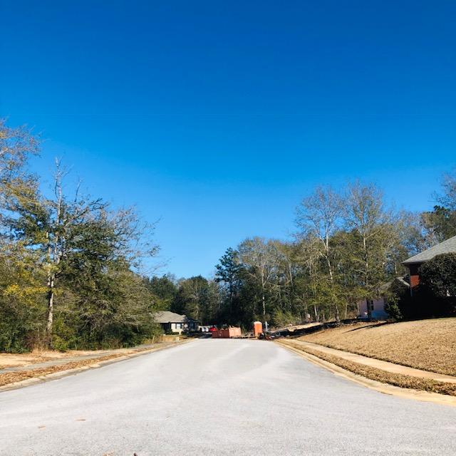 LAKE ARTHUR EST PH I - Land