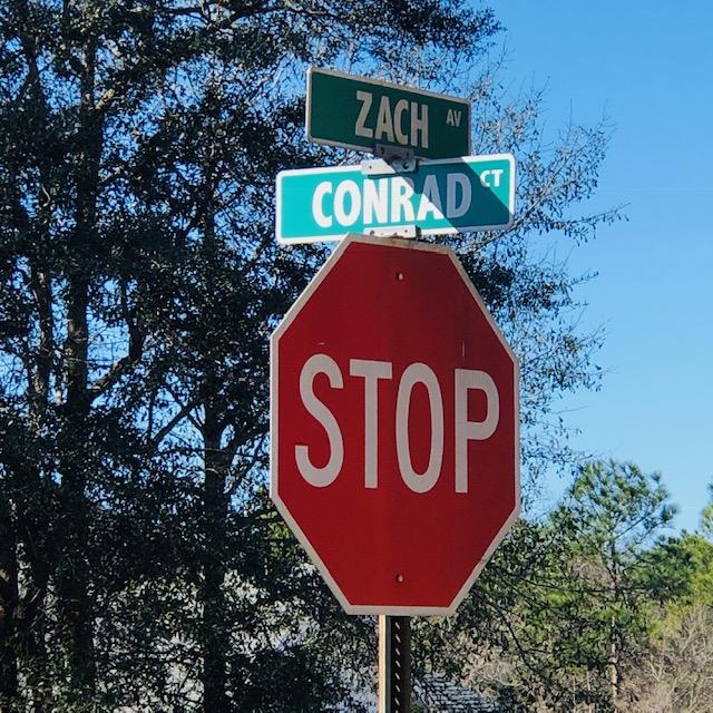 LAKE ARTHUR EST PH I - Land