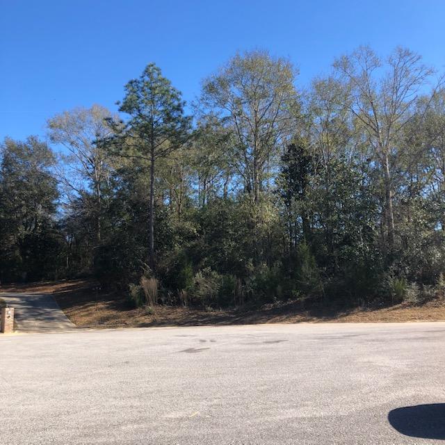 LAKE ARTHUR EST PH I - Land