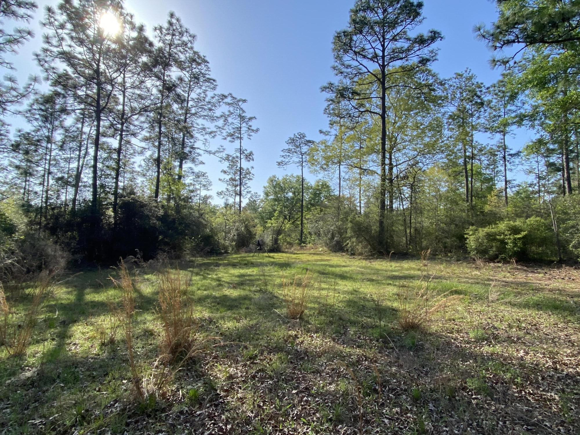 20 Acres Sherman Kennedy RD
