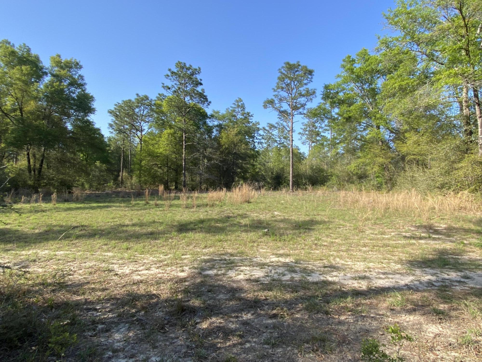 20 Acres Sherman Kennedy RD