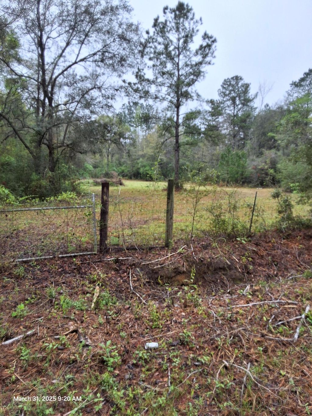 listing image 61