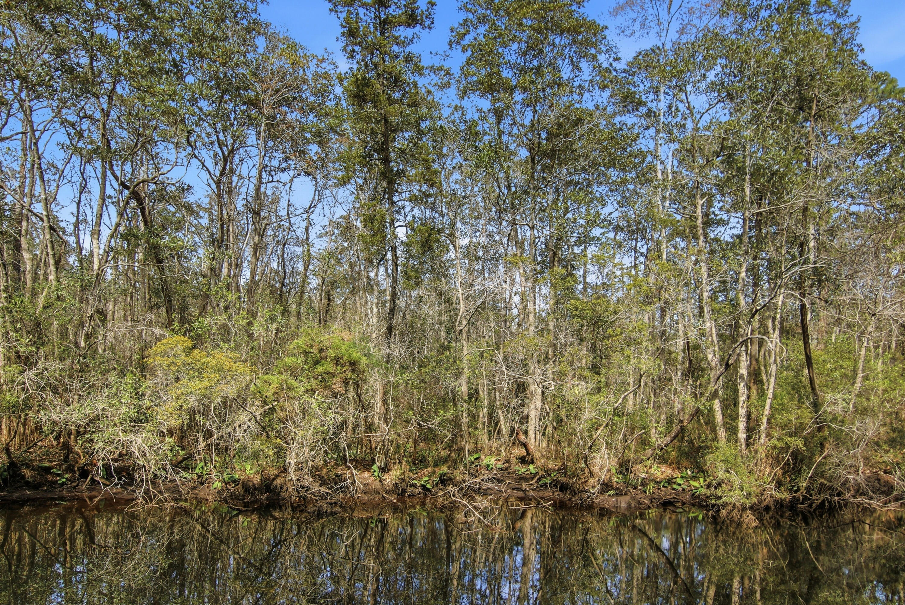 LAGRANGE LANDING - Residential