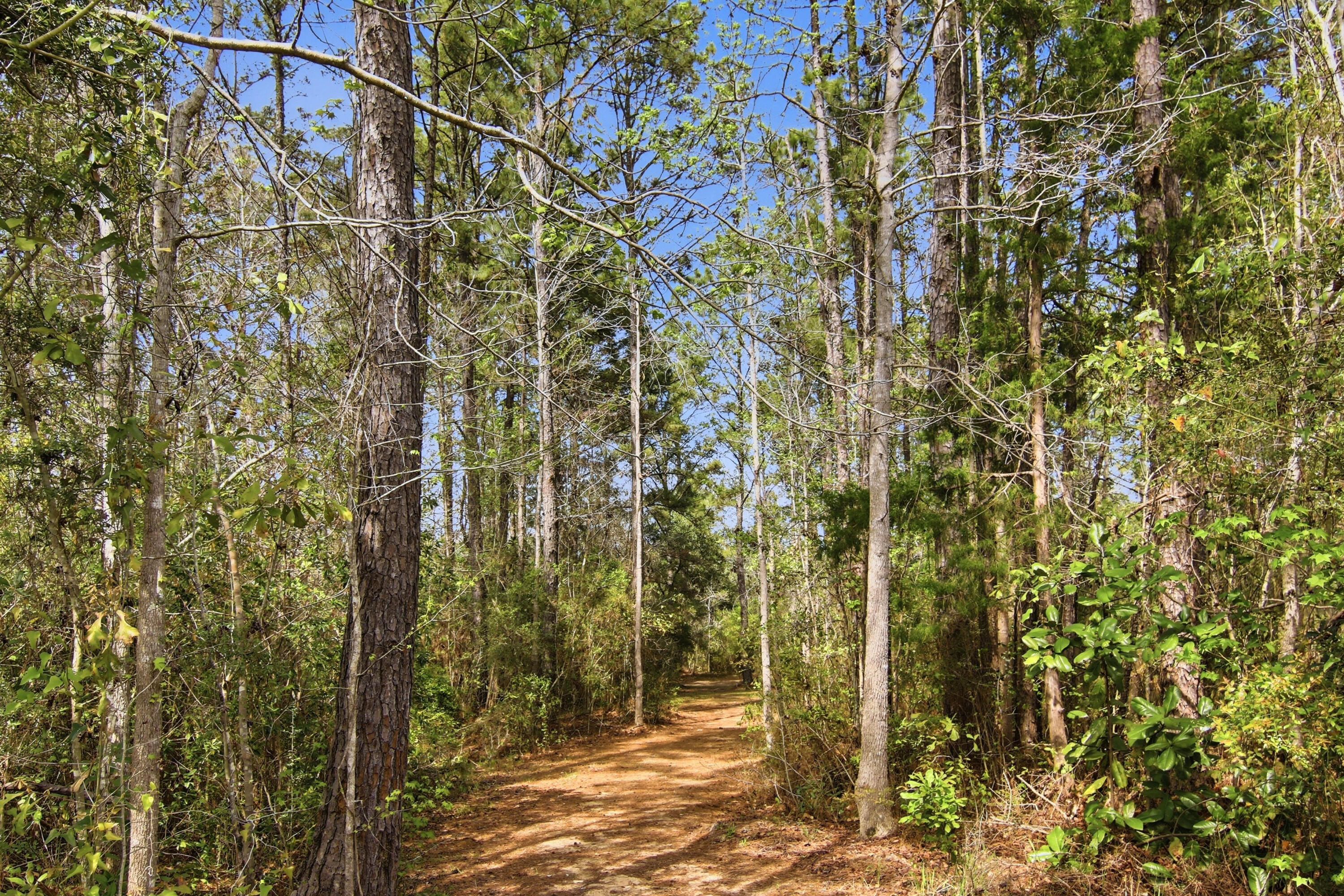 LAGRANGE LANDING - Residential