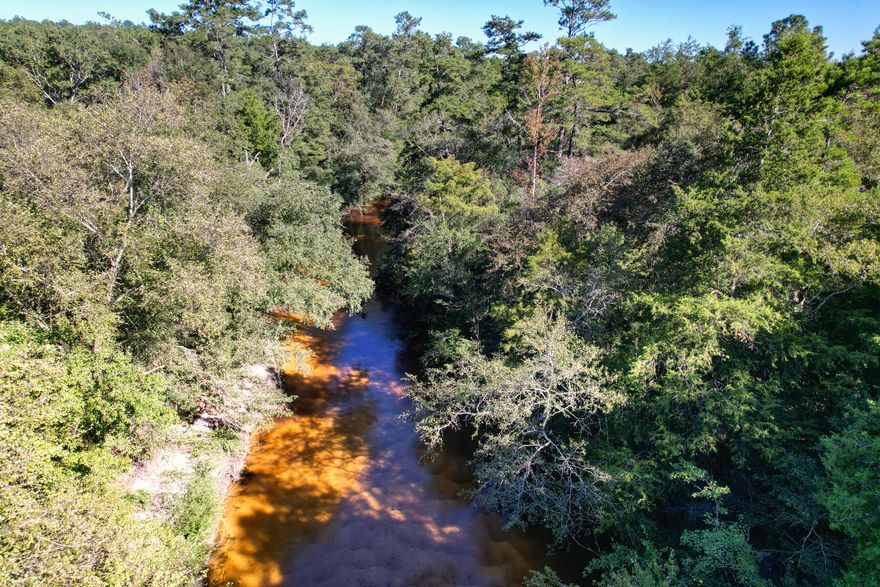 WATERFRONT ACREAGE NOW AVAILABLE.. and this 4.2 acre parcel is BUILDABLE.. BEAUTIFUL.. and surrounded by lush woodland. The acreage borders Pond Creek.. famous for sandy beaches (found along its banks).. and some of the best ''creek'' fishing in the county. ELECTRIC IS AVAILABLE.. and this land is on a PAVED ROAD! Perfect for a custom home.. recreational property.. or fish camp! Buildable ''waterfront'' lots are EXTREMELY RARE for this area! Make an offer today.