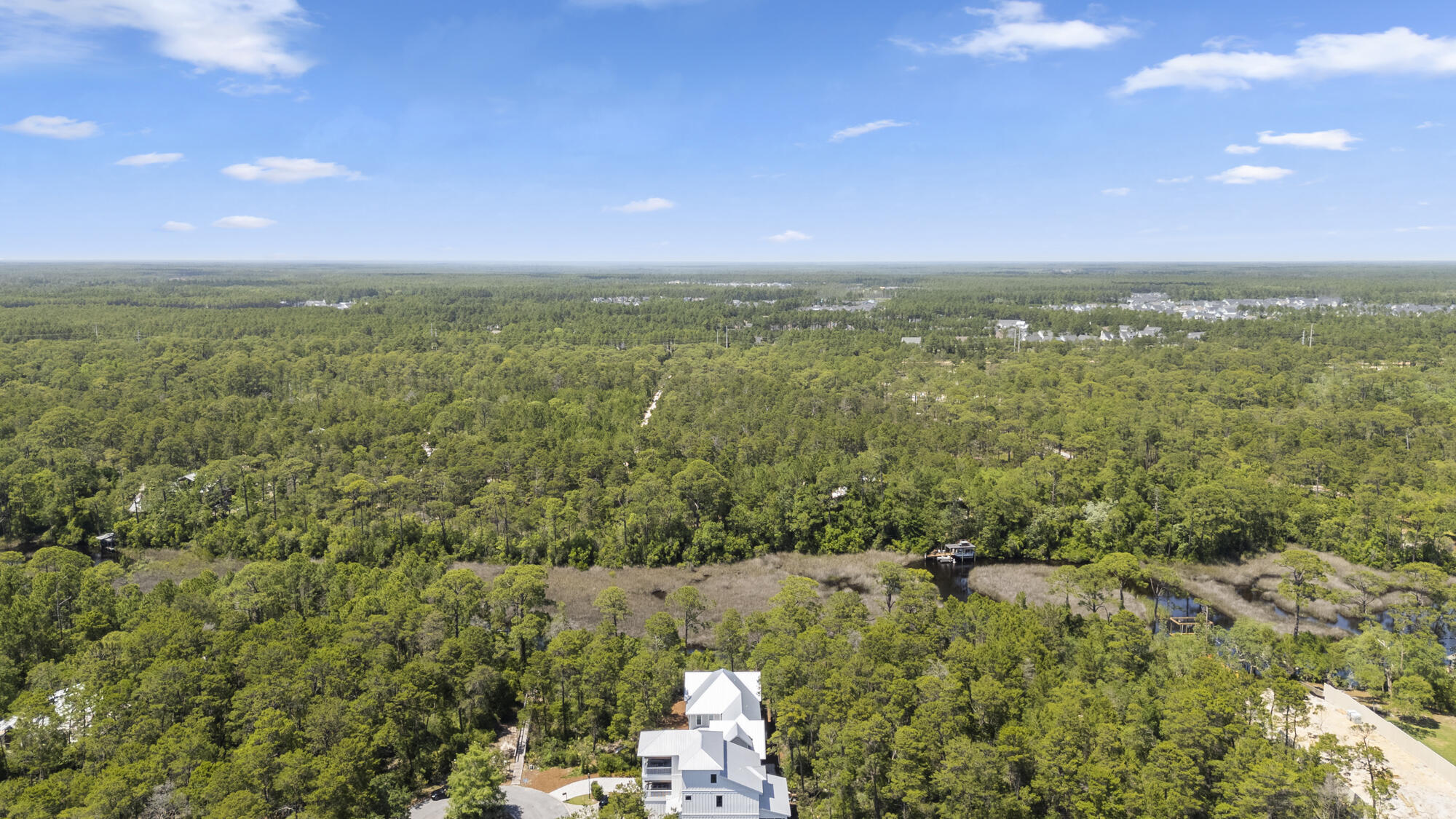 THE PRESERVE AT INLET BEACH - Residential