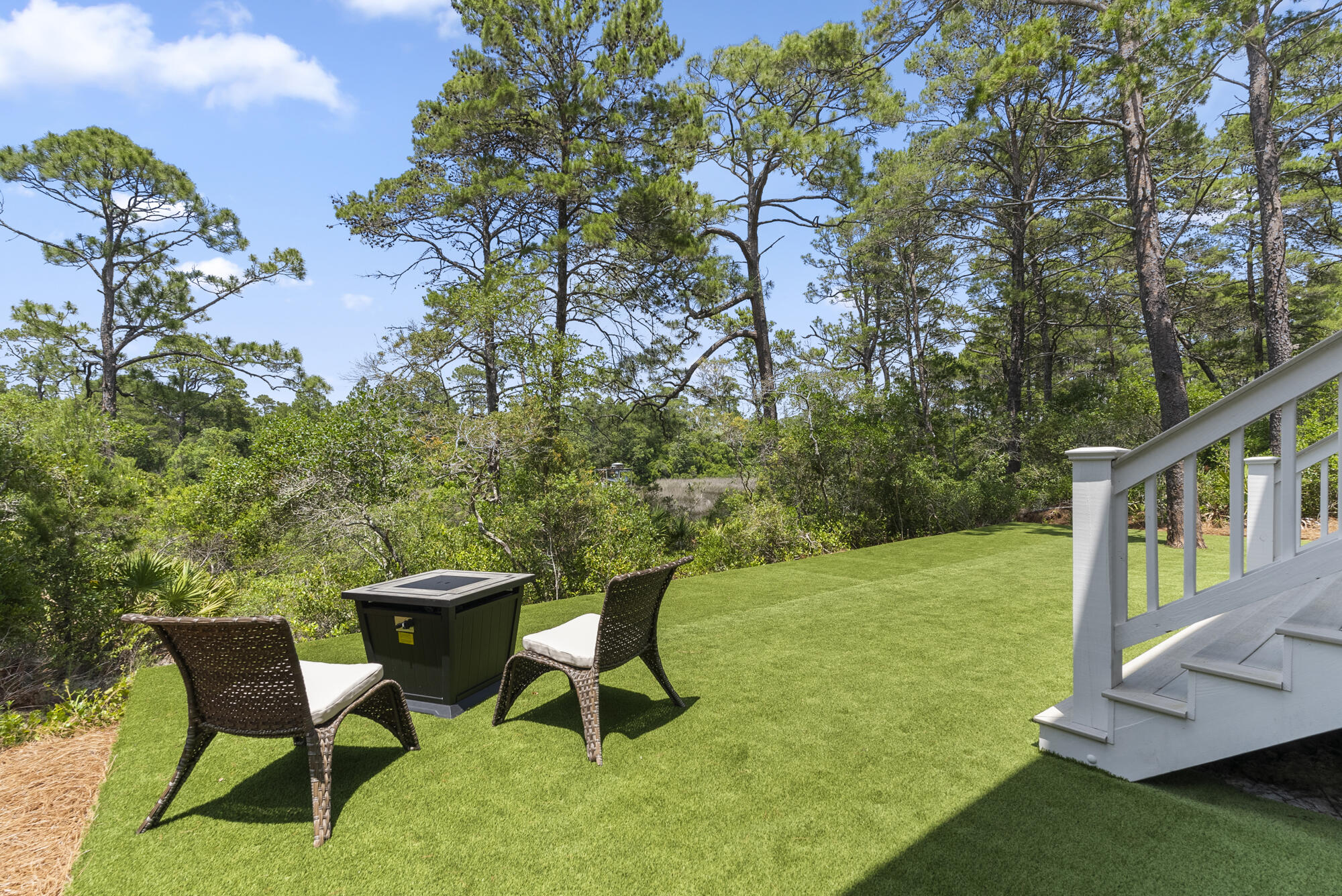 THE PRESERVE AT INLET BEACH - Residential
