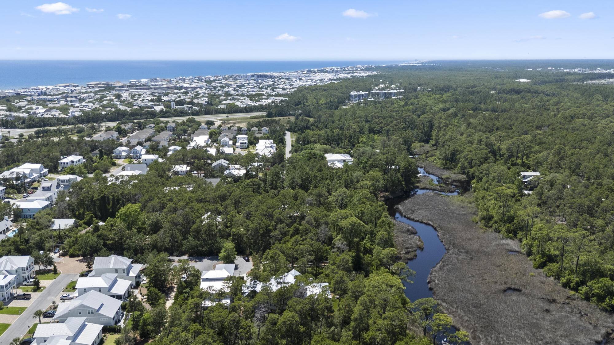 THE PRESERVE AT INLET BEACH - Residential