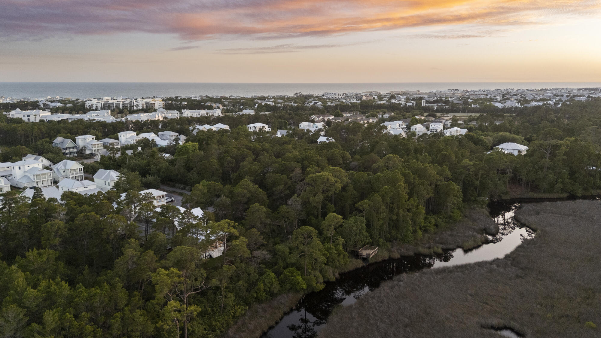 THE PRESERVE AT INLET BEACH - Residential
