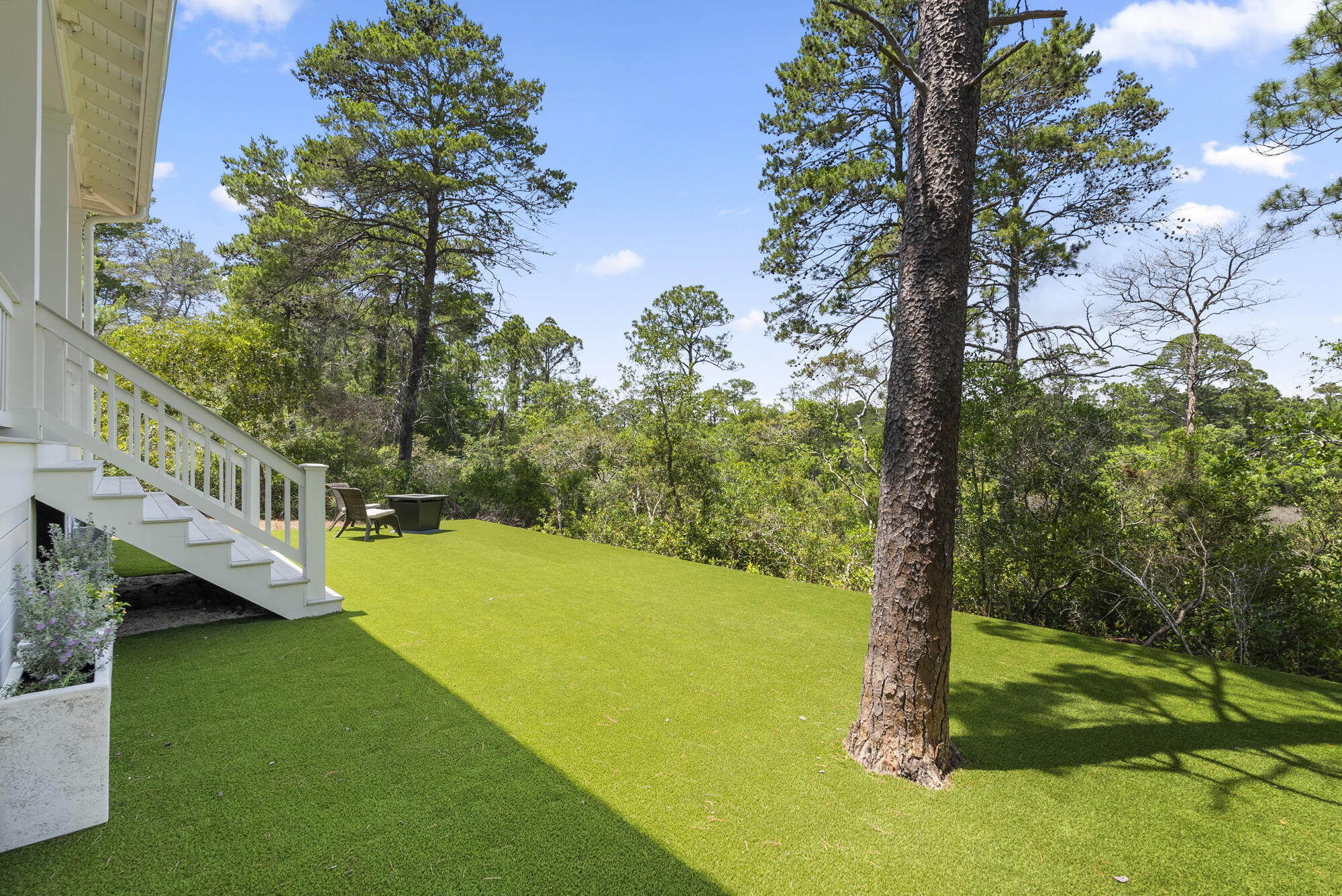 THE PRESERVE AT INLET BEACH - Residential