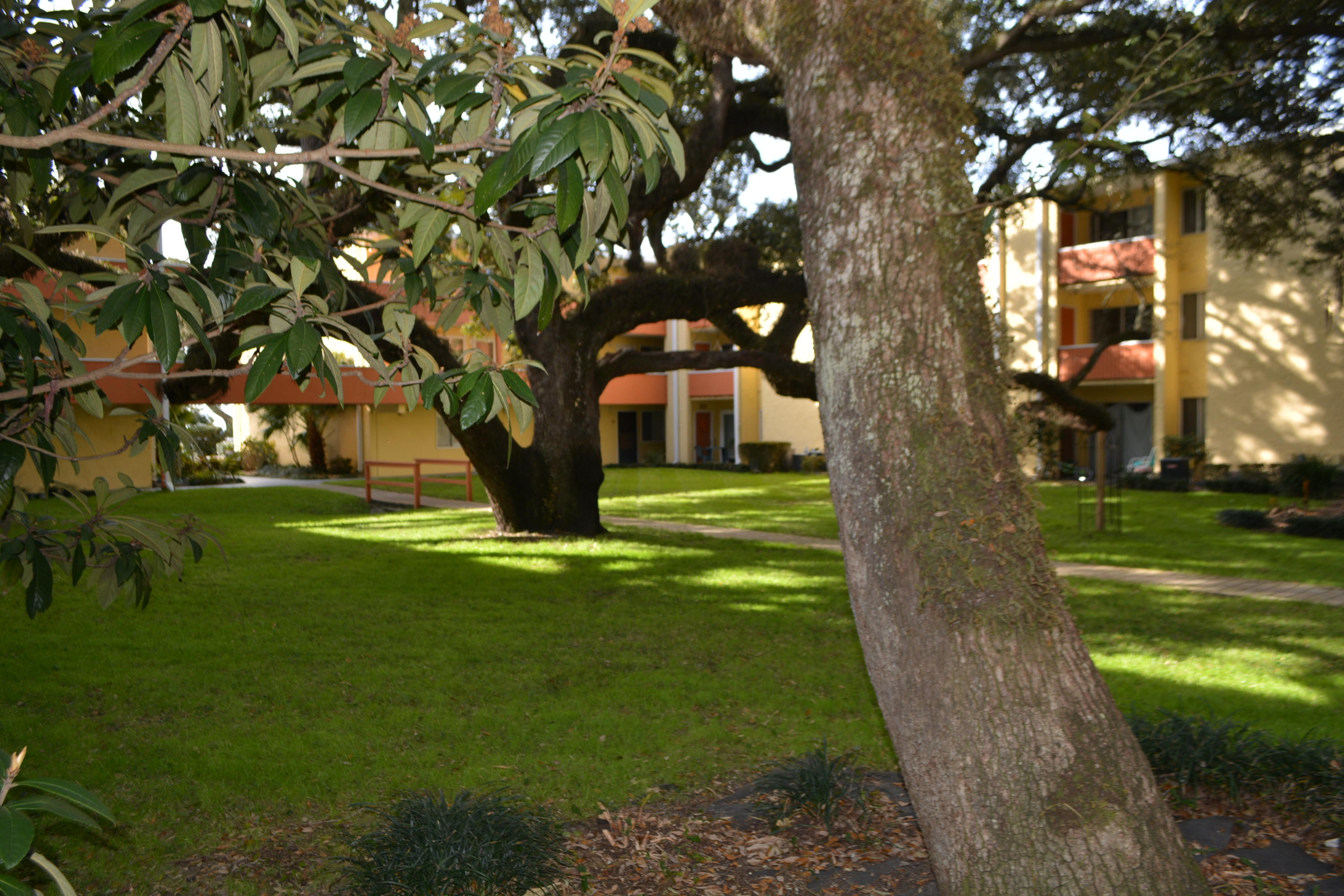 CEDARS CONDO - Residential