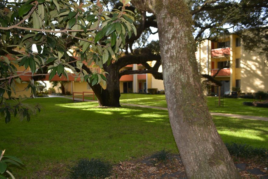 REO. 2 bedroom 1 bath condo on 1st Floor in waterfront complex! Living area is Roomy and has sliding glass door to the covered patio facing the Courtyard. Outdoor storage room off of patio for your kayak or paddle board. Both Bedrooms are spacious. Master Bedroom faces the Courtyard. Call me to schedule your showing!