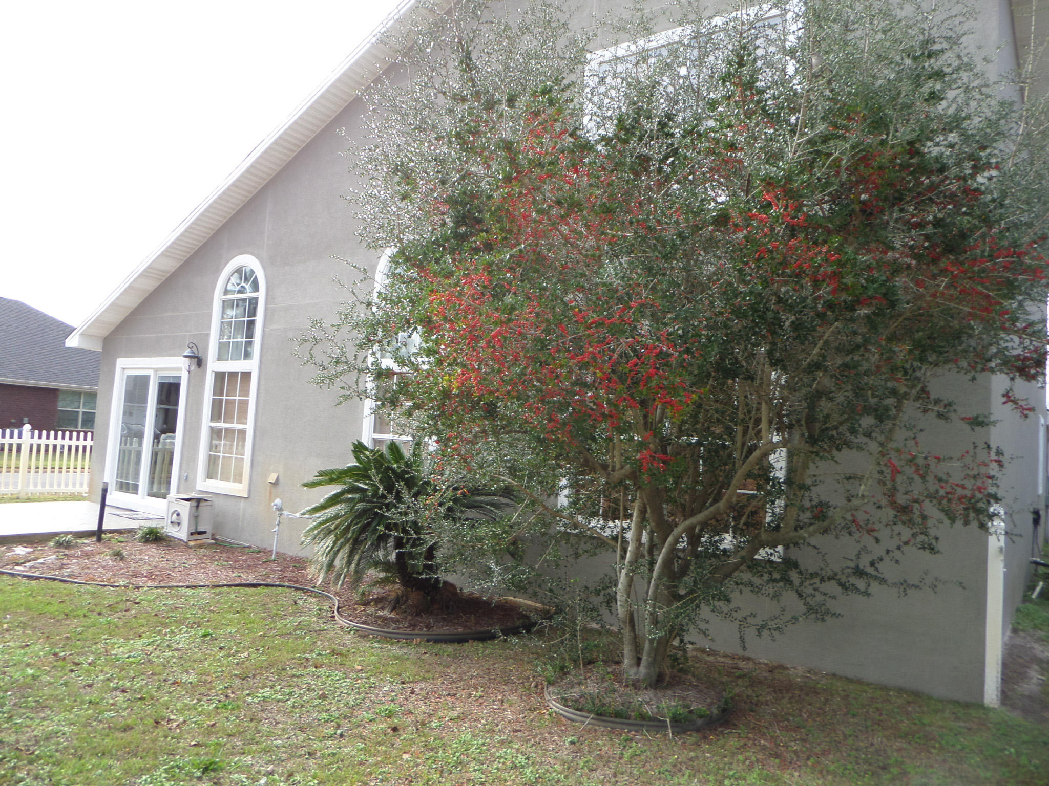 FOUNTAINVIEW - Residential