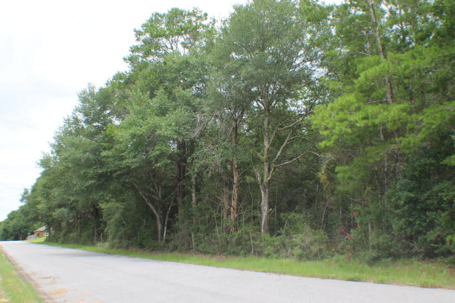 EAST CHESTNUT ADDN - Land