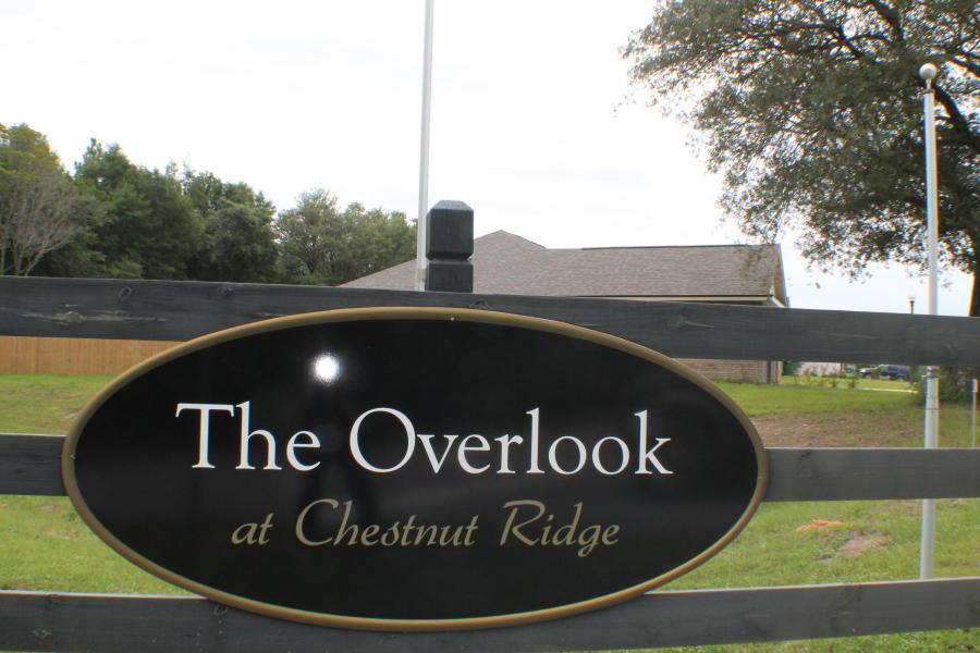 EAST CHESTNUT ADDN - Land