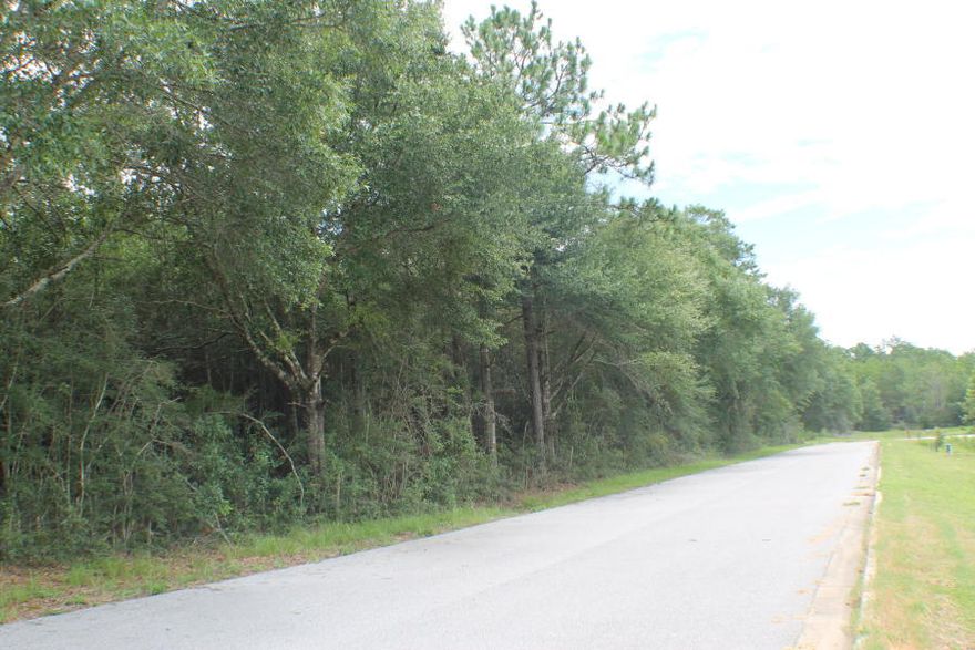 Beautiful lot with mature oaks! In the subdivision WITHOUT the covenants and restrictions! Paved road in a new development! New schools just down the road! Access the hospital, Walmart, and schools without having to get on a highway! Come home to THE OVERLOOK AT CHESTNUT RIDGE without the rules! Also have a bigger lot for this parcel available.