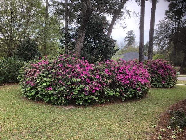 Rocky Bayou Estates - Residential