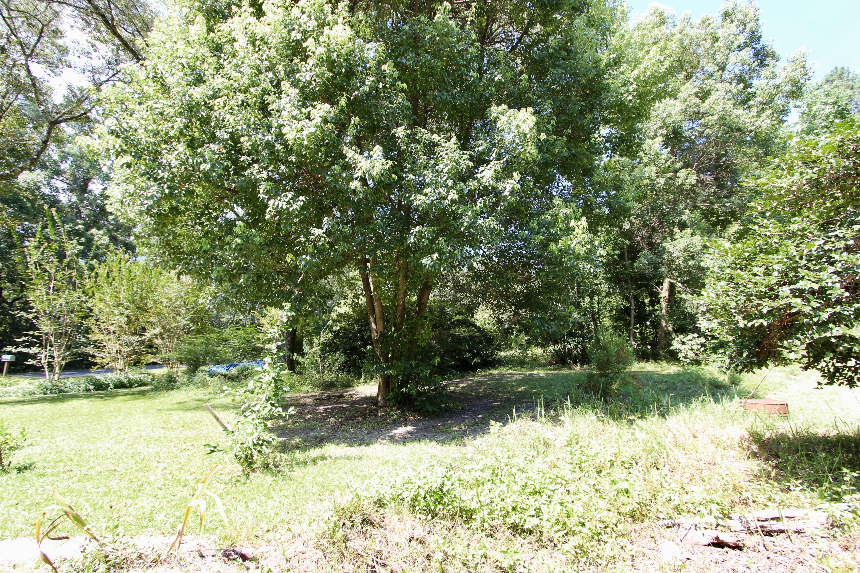 TOWN OF DEFUNIAK SPRINGS - Residential