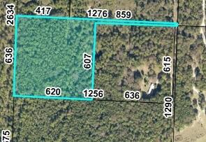 There is access to the property from a main road. 9-acre wooded parcel backs to Blackwater State Forest. Zoned AG-RR, suitable for hunting, fishing, or building a home. Power lines nearby. 5 minutes to Bear Lake, 20 minutes to Hurricane Lake, 8 minutes to Krul Recreation Area. Creeks within 10 miles, Cotton Bridge Park 10 minutes away.